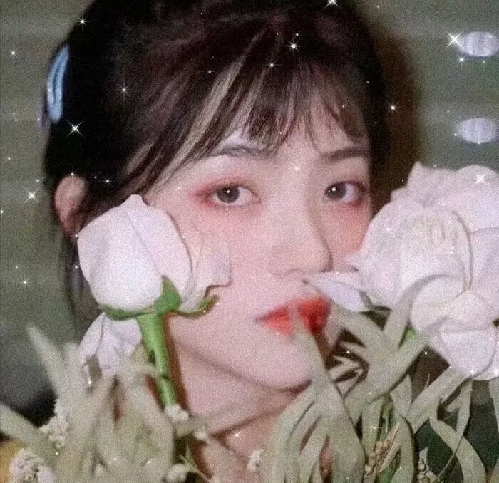 修罗雪姬